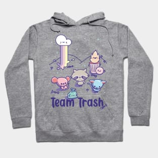 Kawaii Raccoon, Rat and Opossum, Team Trash Pastel Rainbow Hoodie